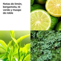 Green Tea Loción Corporal  500ml-131194 Green Tea Loción Corporal  500ml-131194 2